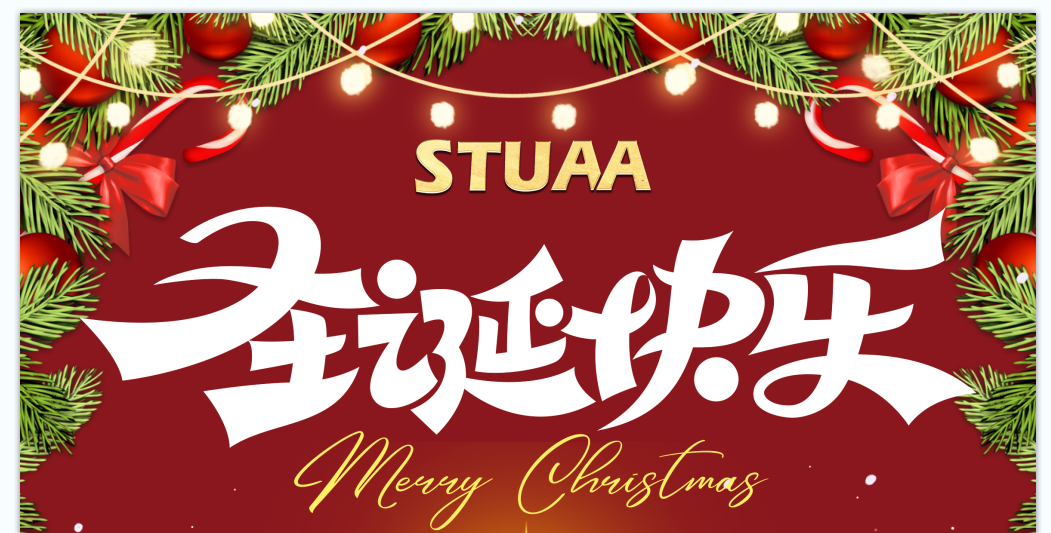 2024USDT钱包数字官方祝您圣诞快乐!